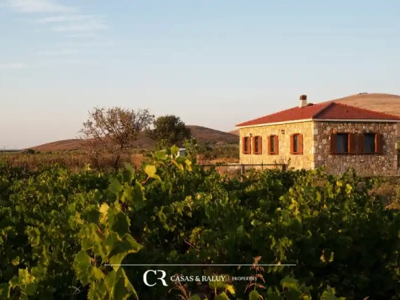 Inmobiliaria en el Penedès casas en venta entre viñedos con encanto