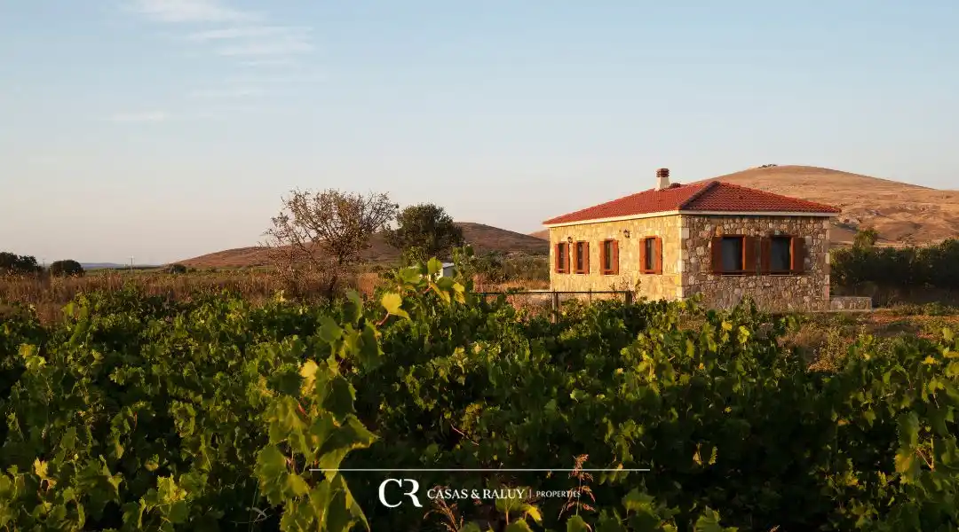 Inmobiliaria en el Penedès casas en venta entre viñedos con encanto