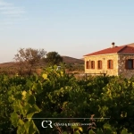Real Estate Agency in the Penedès Homes for Sale Among Vineyards with Charm